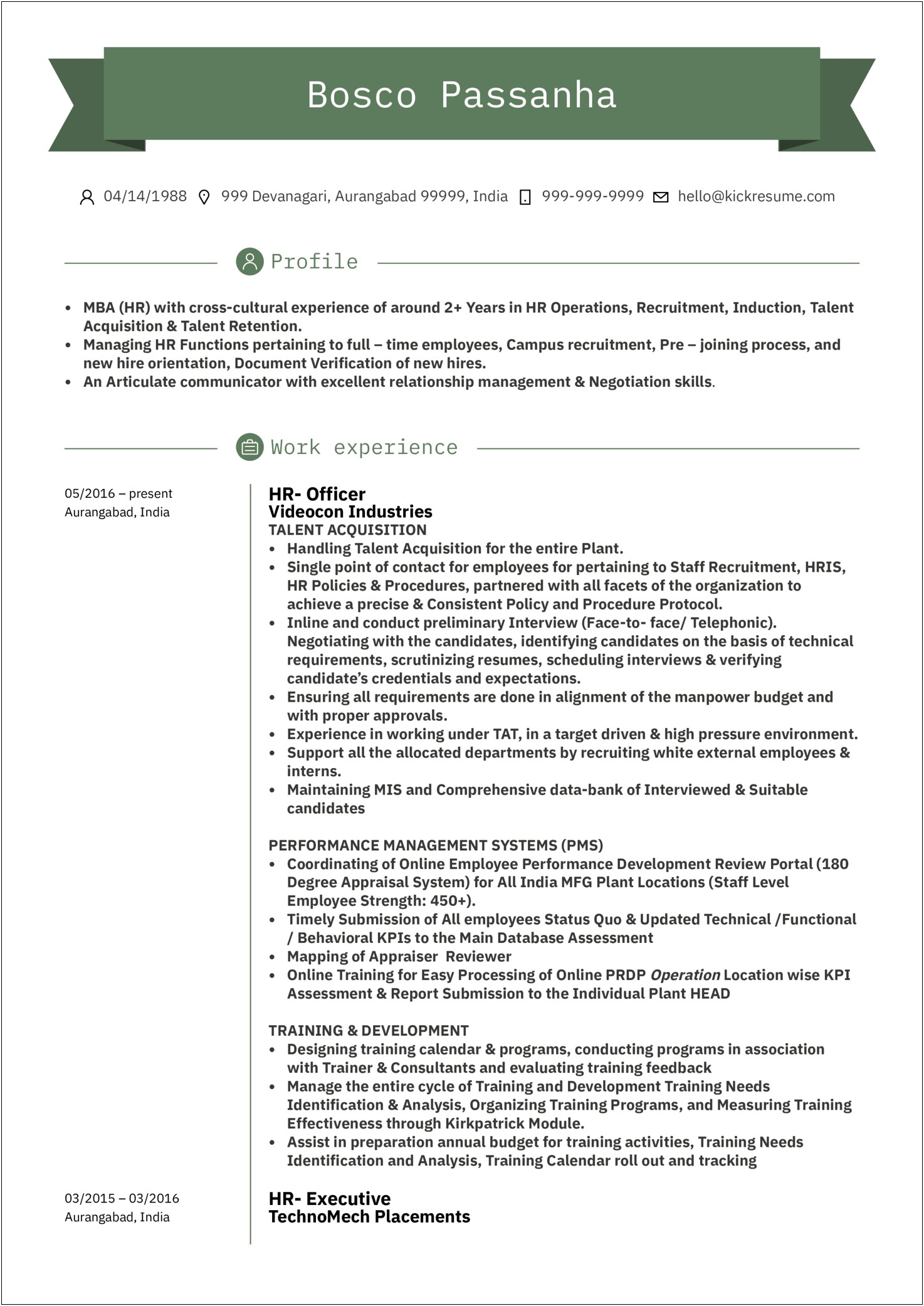 Free Resume Format For Hr Executive