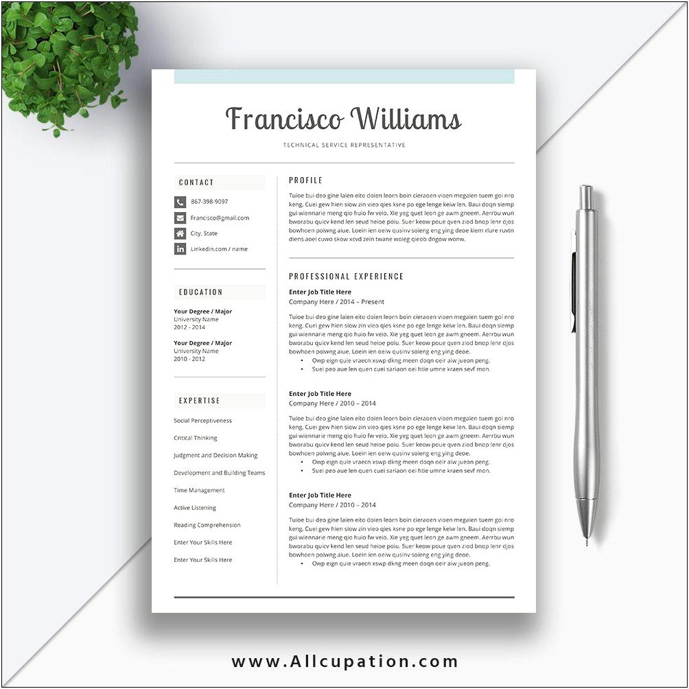 Free Resume Format For Mac