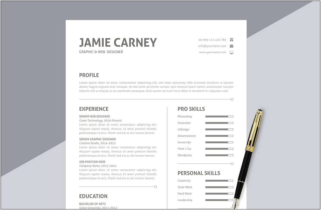 Free Resume Format For Microsoft Word