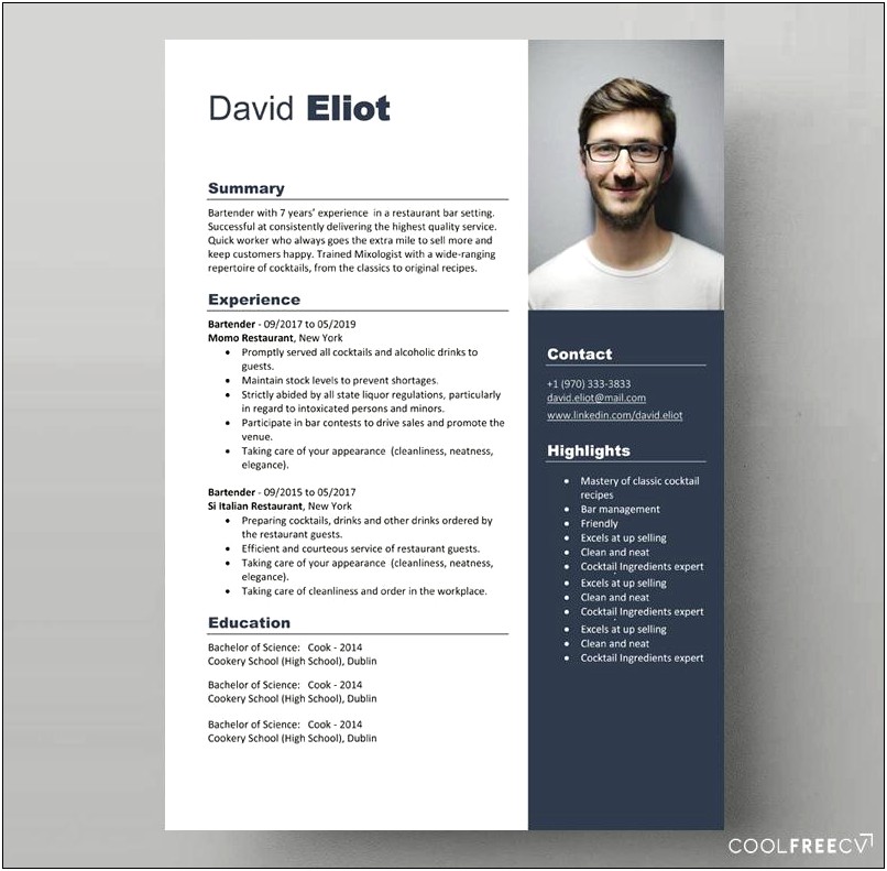 Free Resume Template For Libre Office