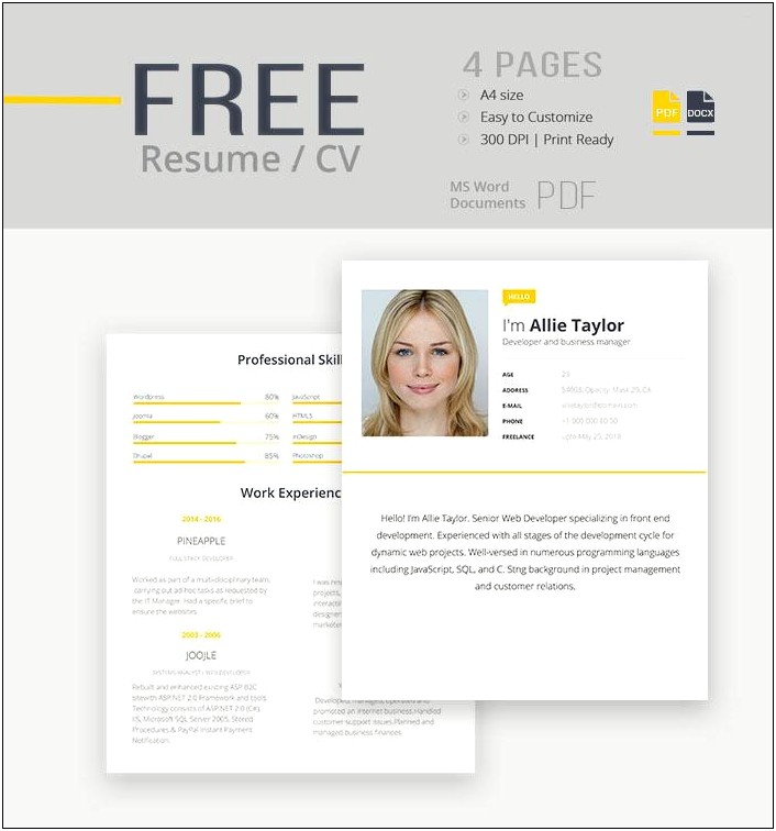 Free Resume Template Microsoft Word To Print