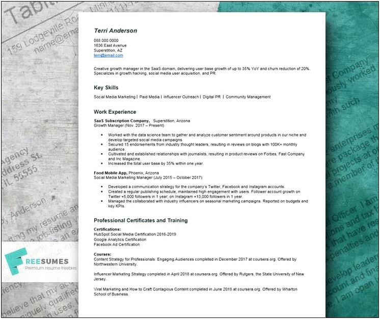 Free Resume Templates For Bachlor Degree