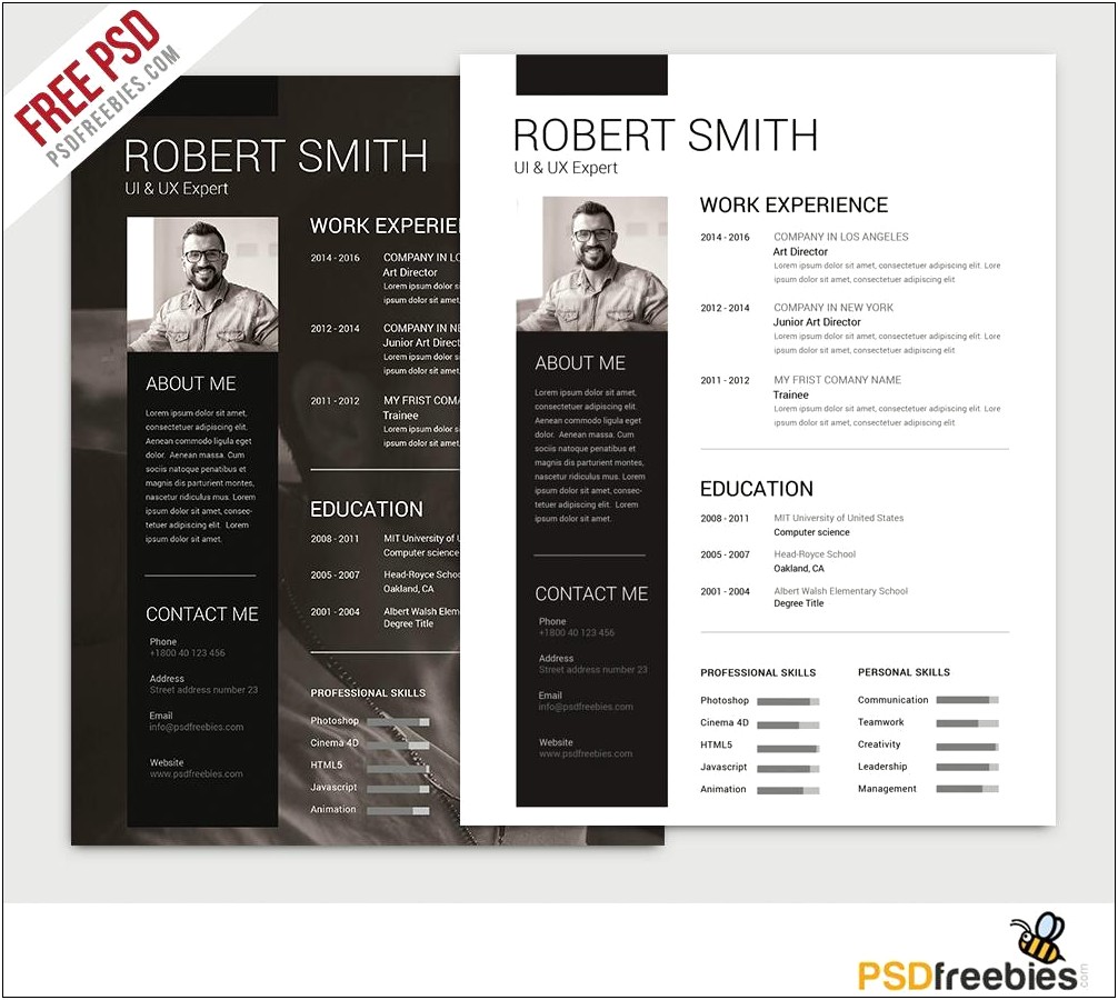 Free Resume Templates For Business School