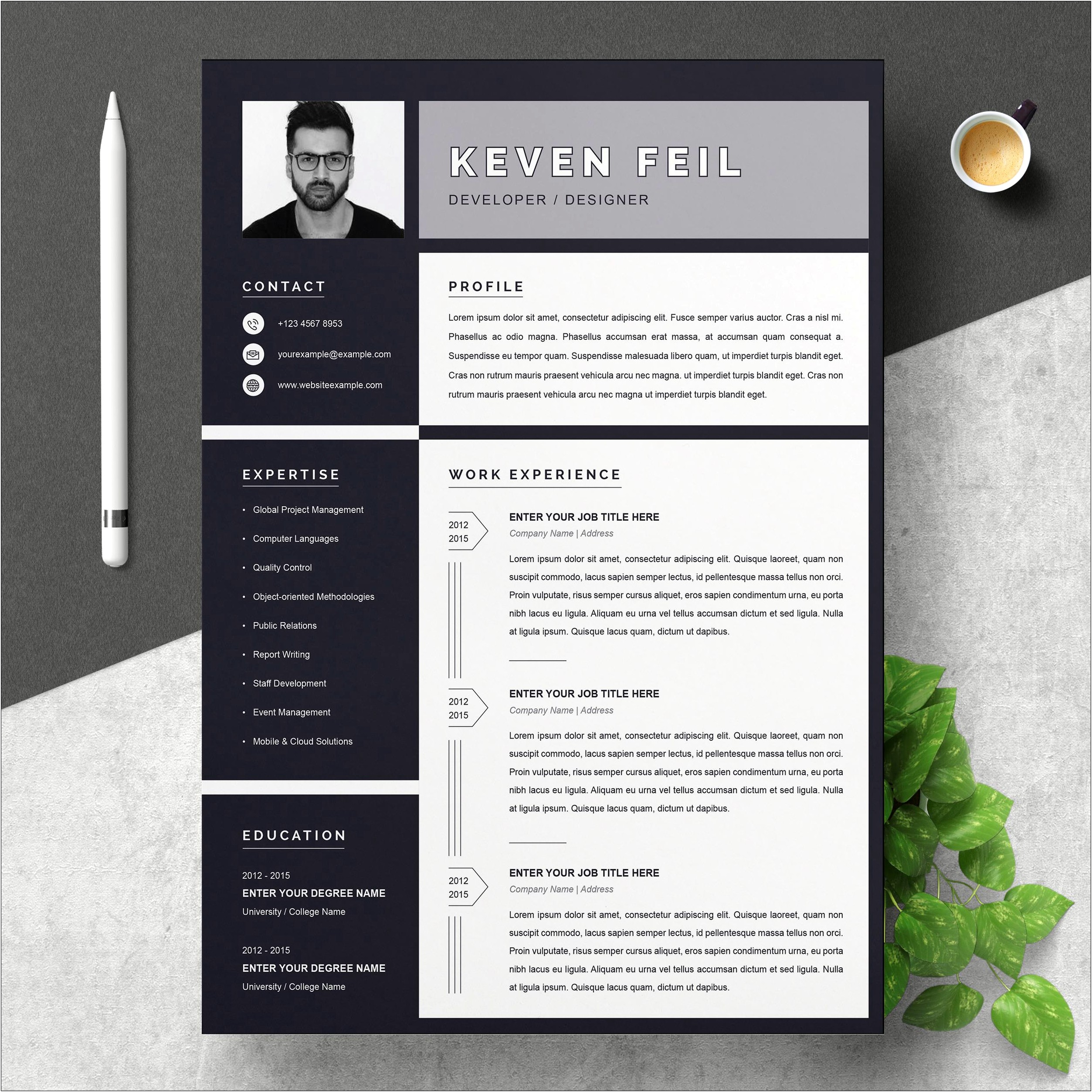 Free Resume Templates For It Professionals