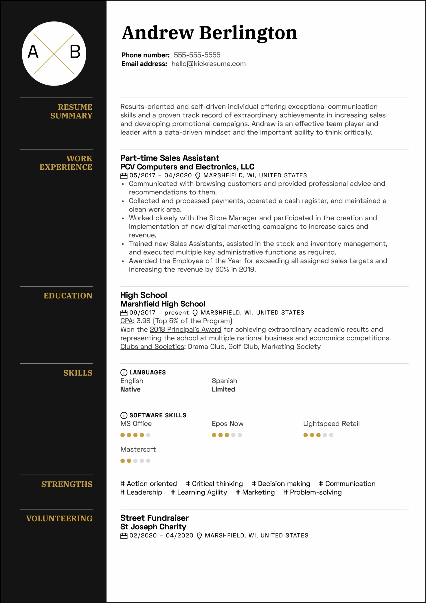 Free Resume Templates For Leader
