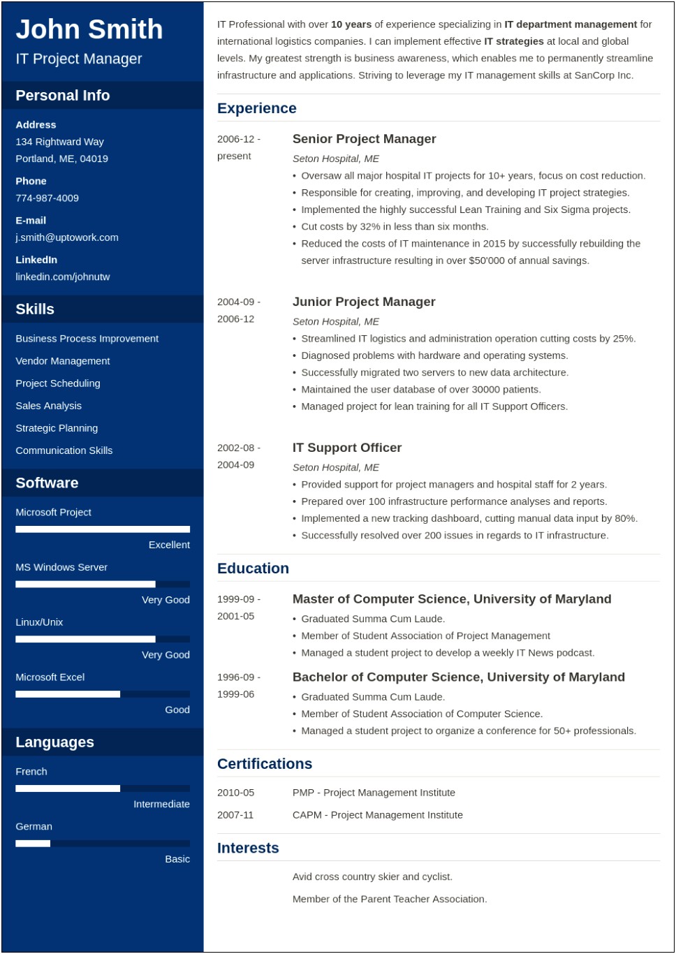 Free Sample Resume For Experienced It Professional Download