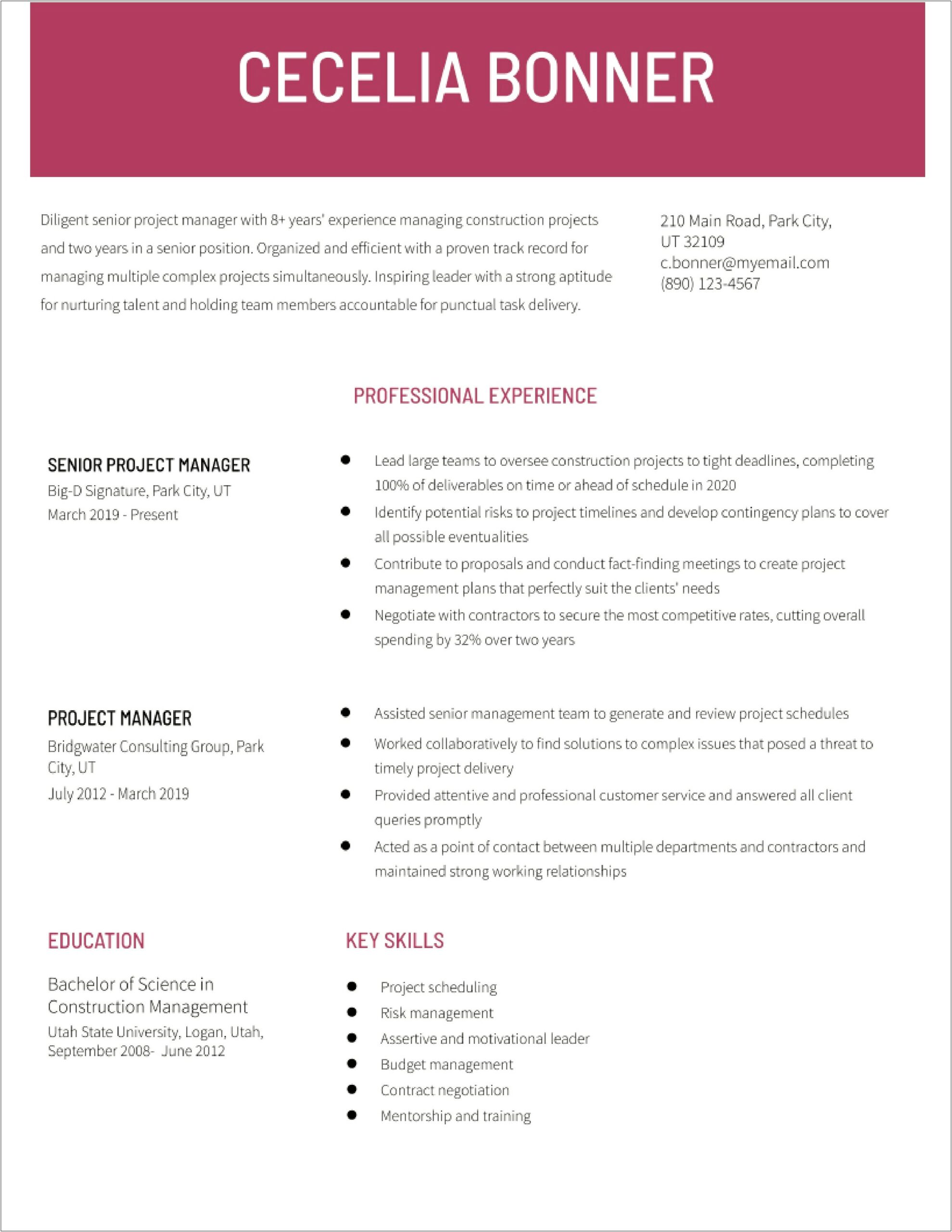 Free Sr Project Management Resumes Templates