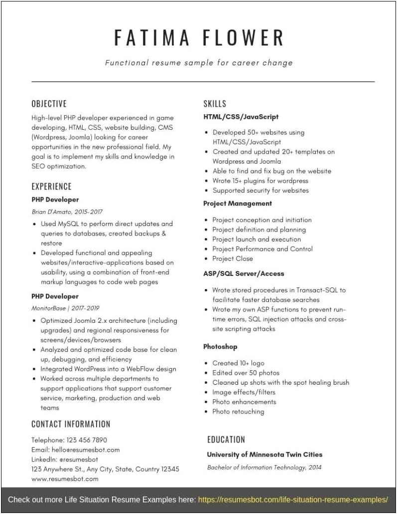 Free Templates Of Functional Resume