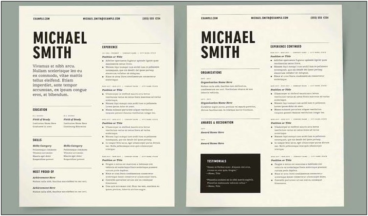 Free Two Column Resume Word Template
