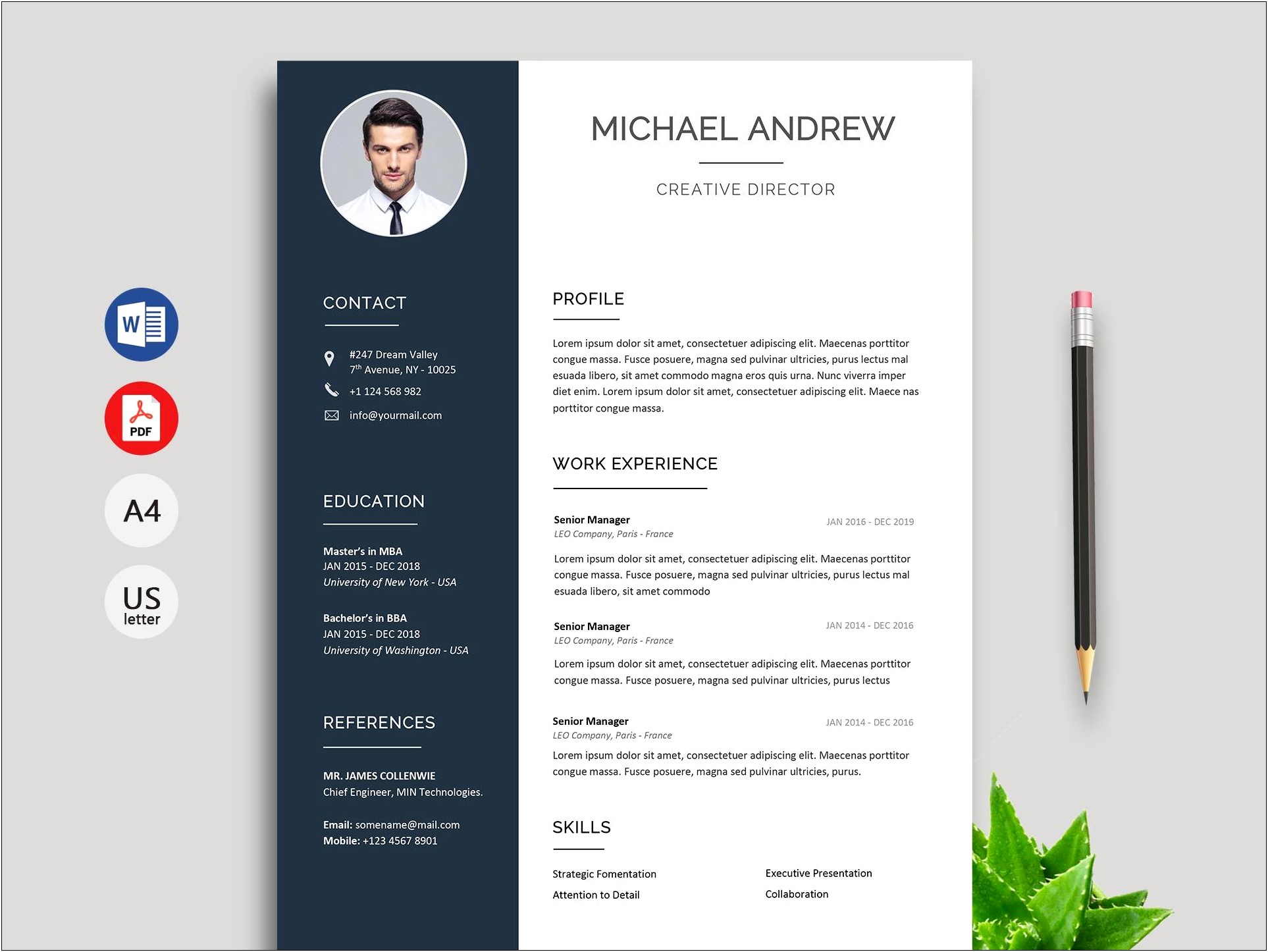 Free Word Document Resume Formats