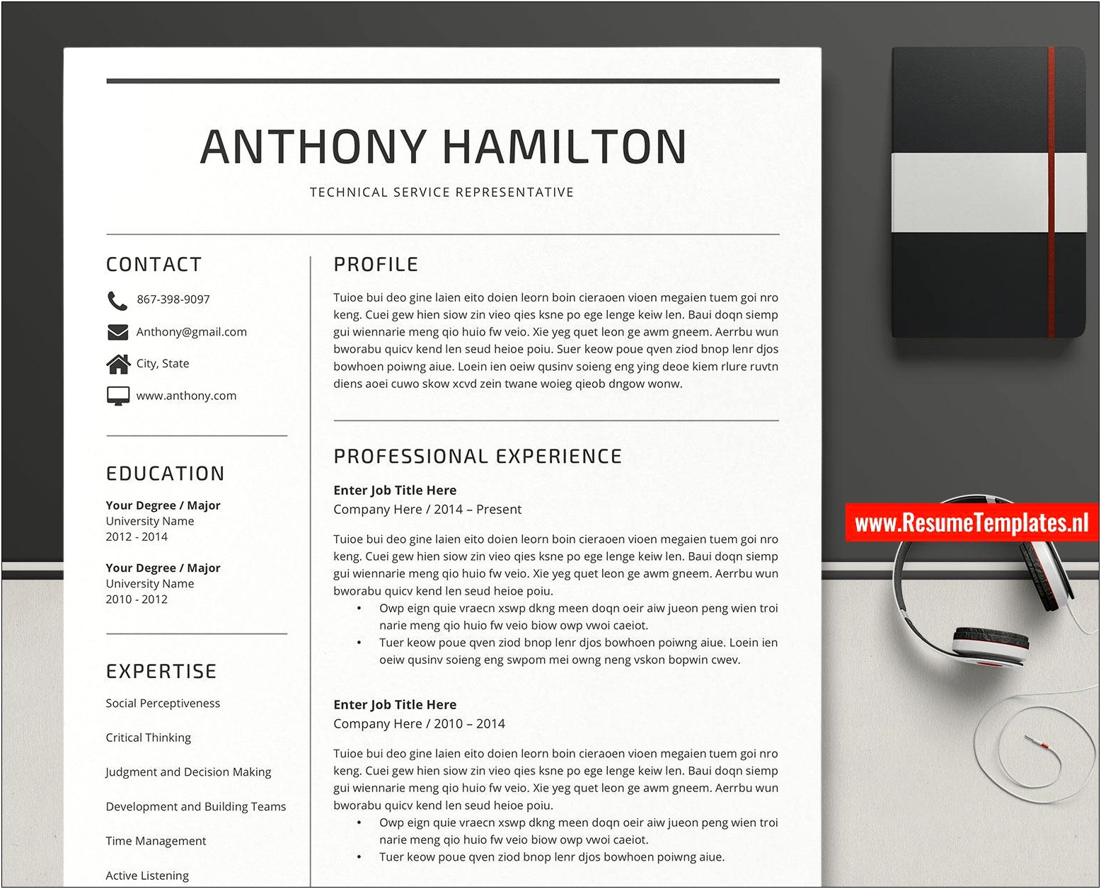 Free Word Resume Template Professional