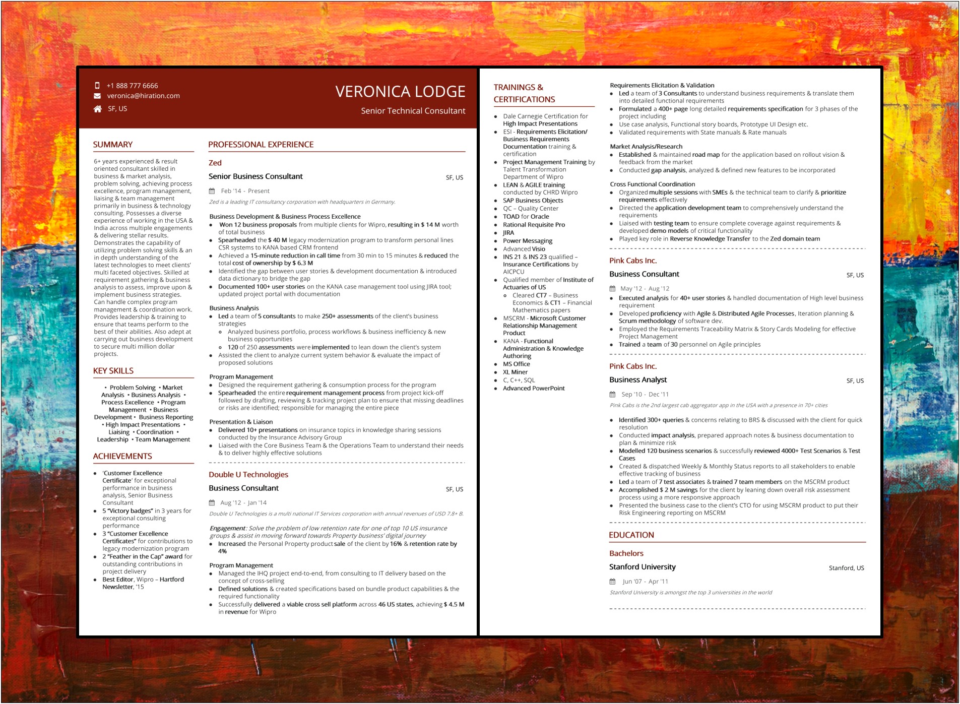 Fun Examples Of Technical Resumes