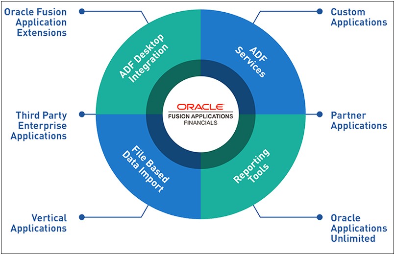 Fusion Oracle Sample Resume Financials