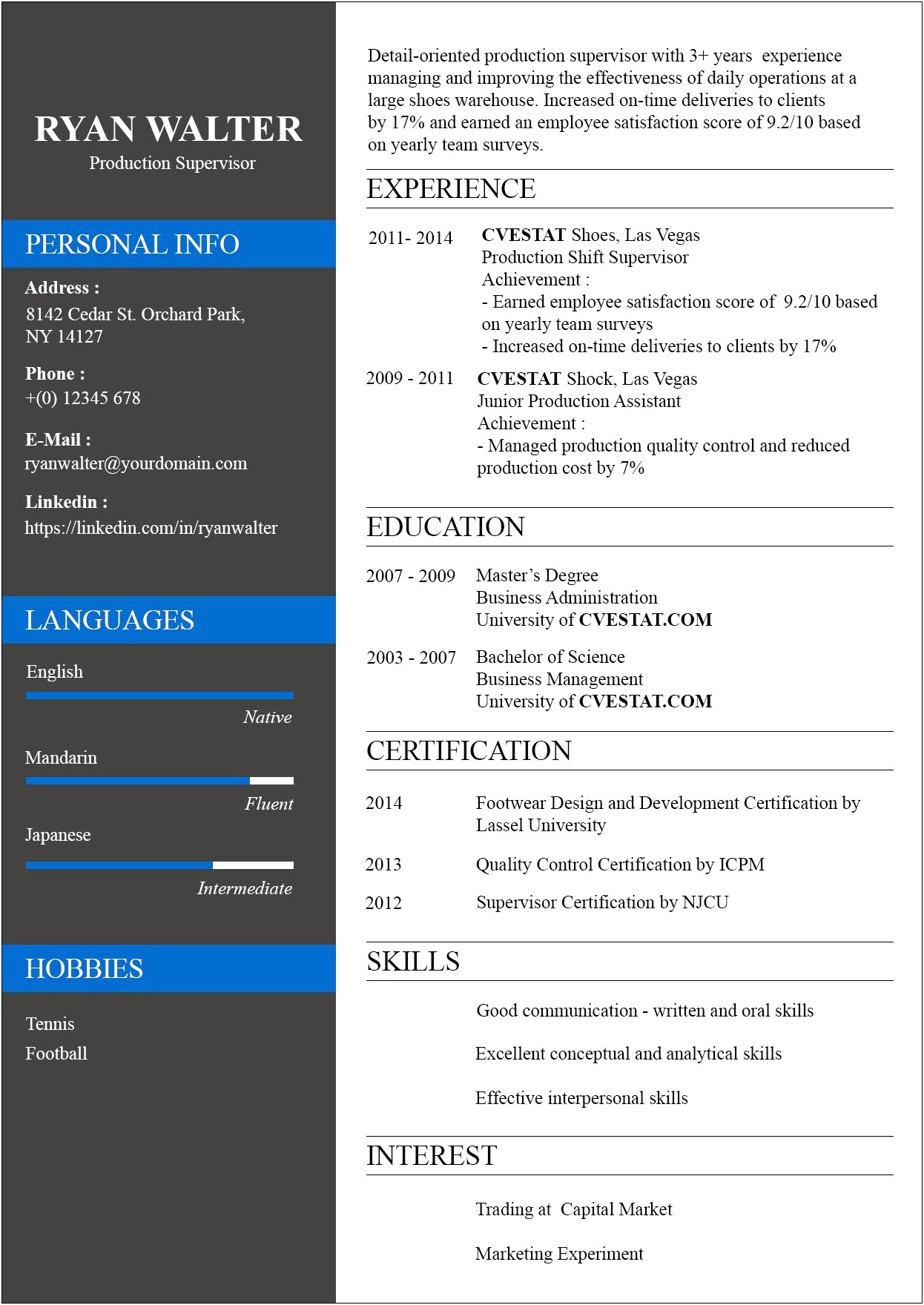 General Summary For Resumes Examples