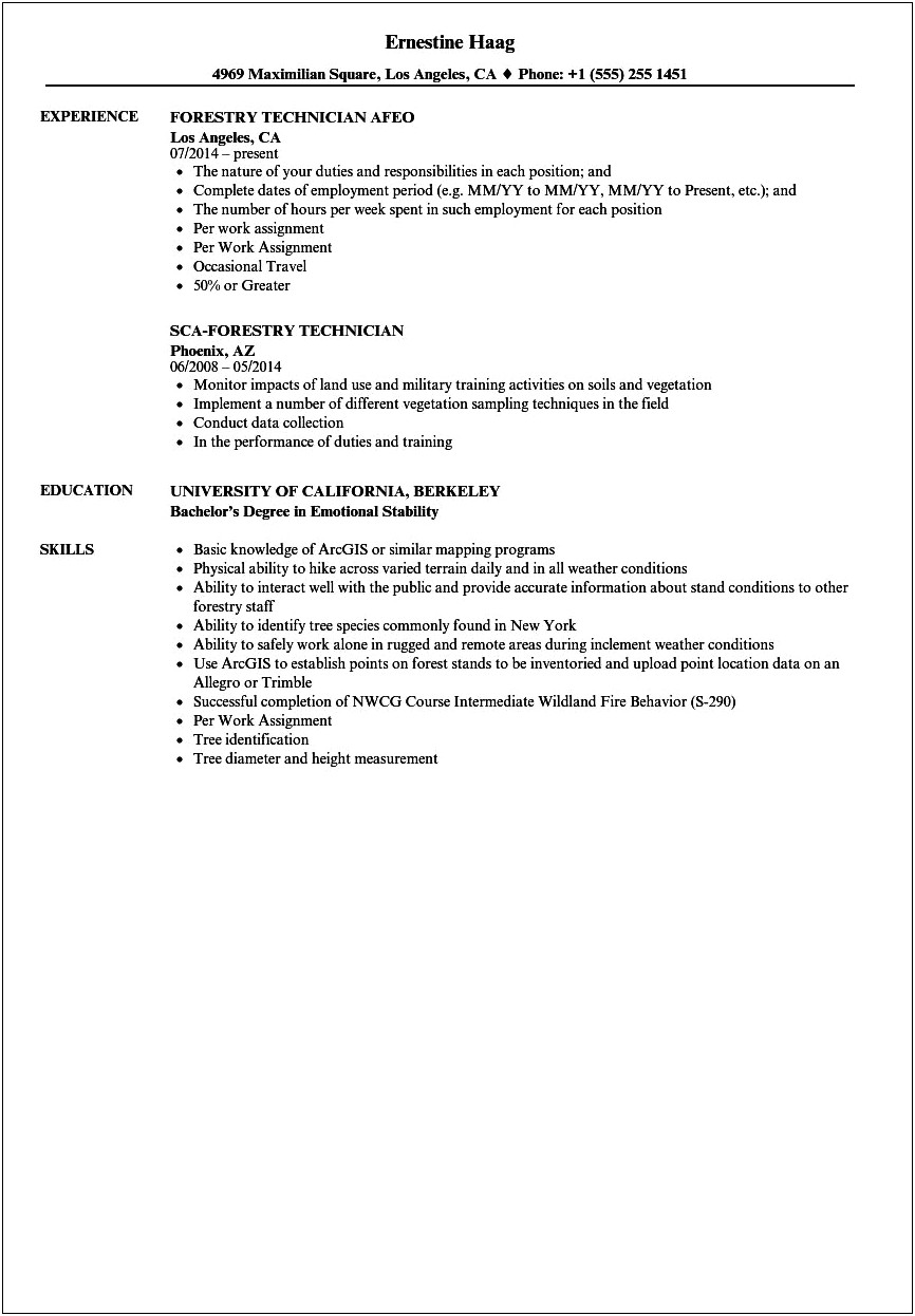 Good Example Of A Timber Forestry Resume