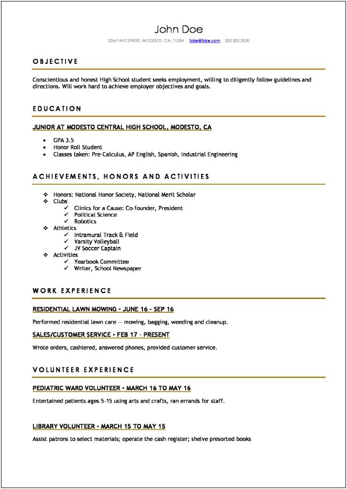 Good Examples Of Resumes For Students