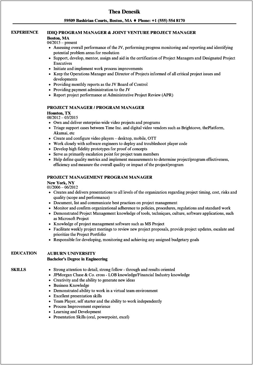 Good Project Manager Profile Or Resume