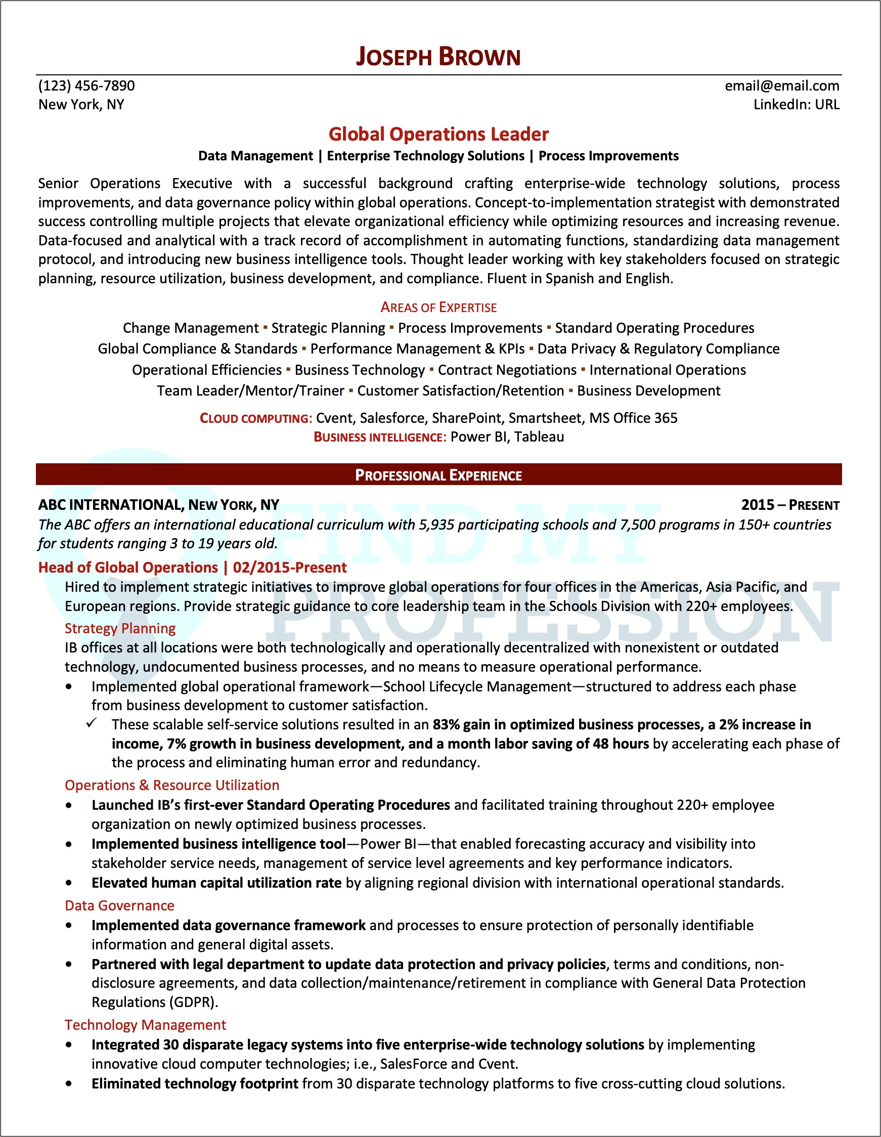 Good Resume Examples For Executives