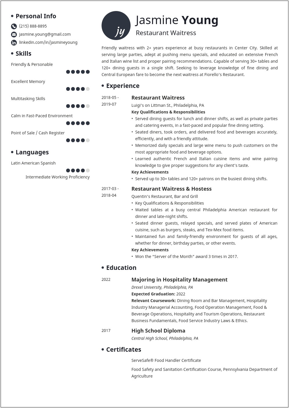 Good Resume Summary Examples For Teenager