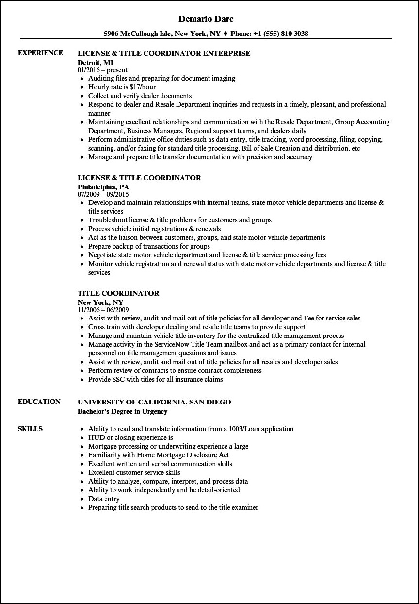 Good Title For Resume Example