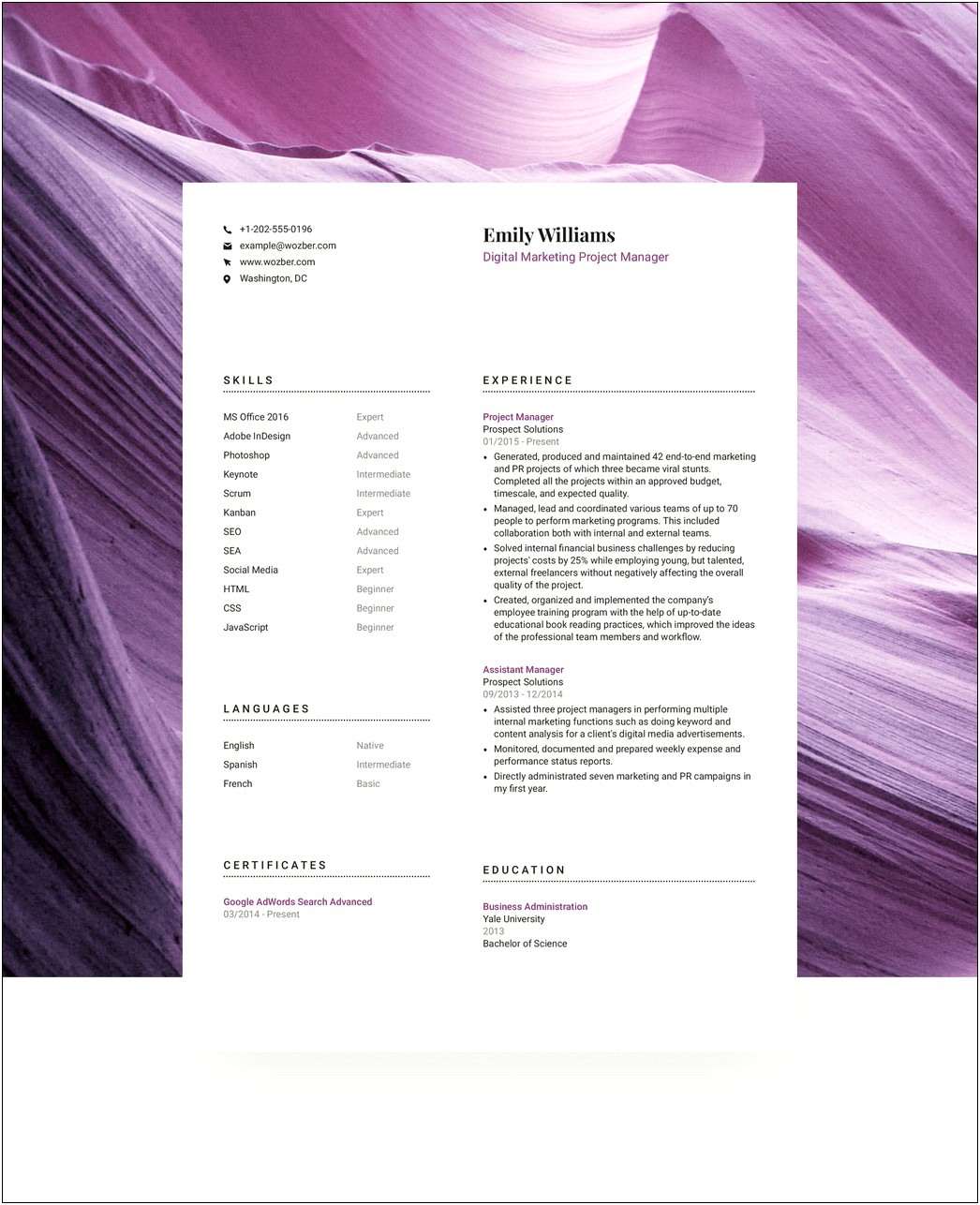 Graphic Design Resume Examples 2013