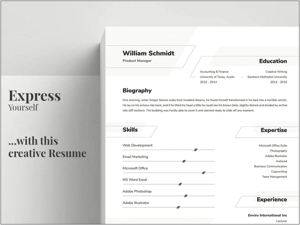 Graphic Resume Templates Free Word