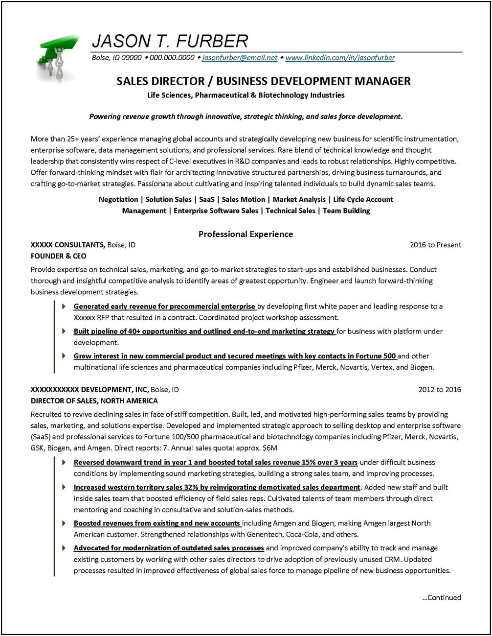 Great Example For Resume About Business Development