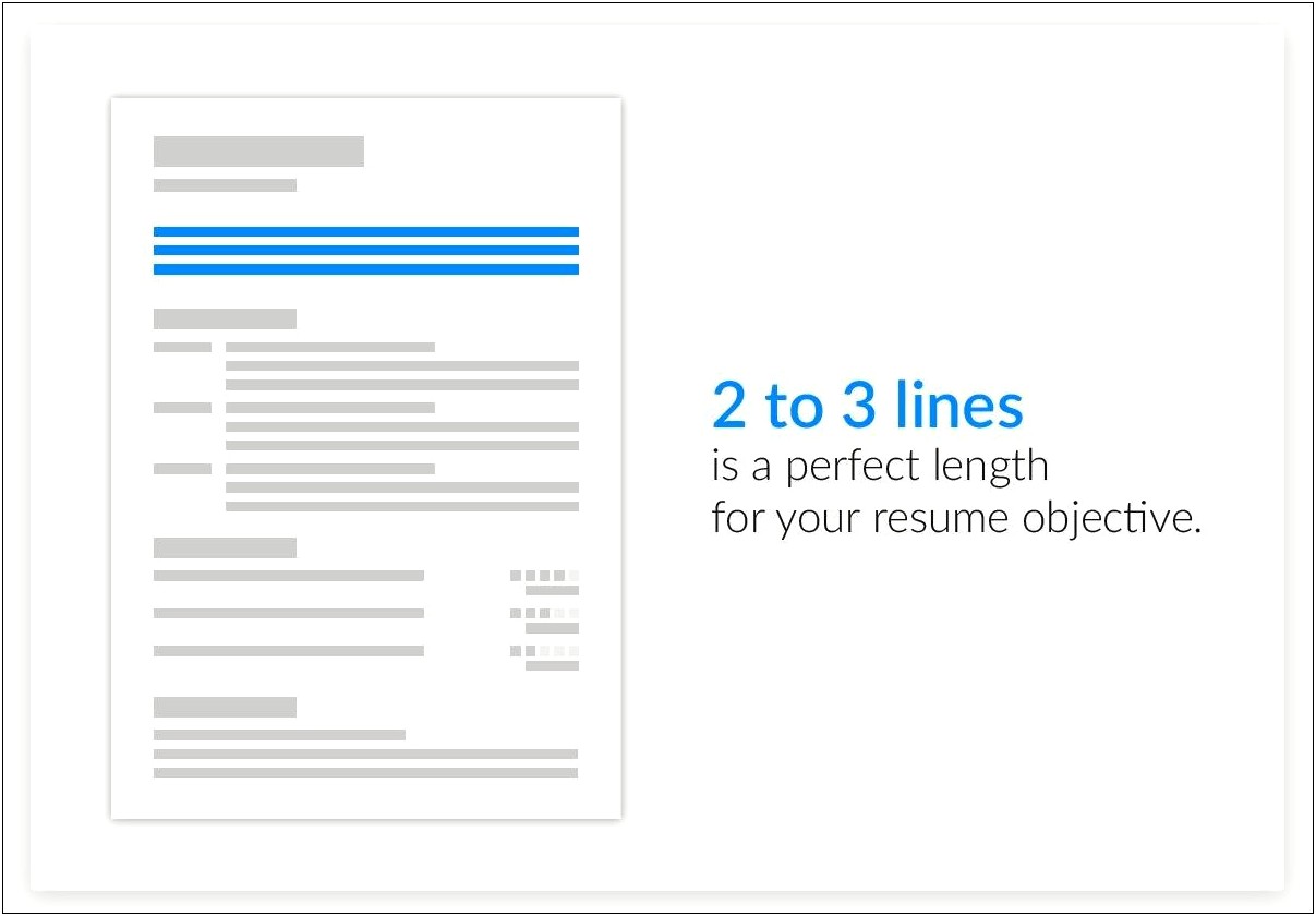 Great Objective Lines For A Resume