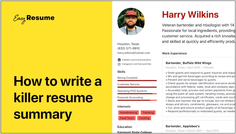 Great Summary Examples For Resume