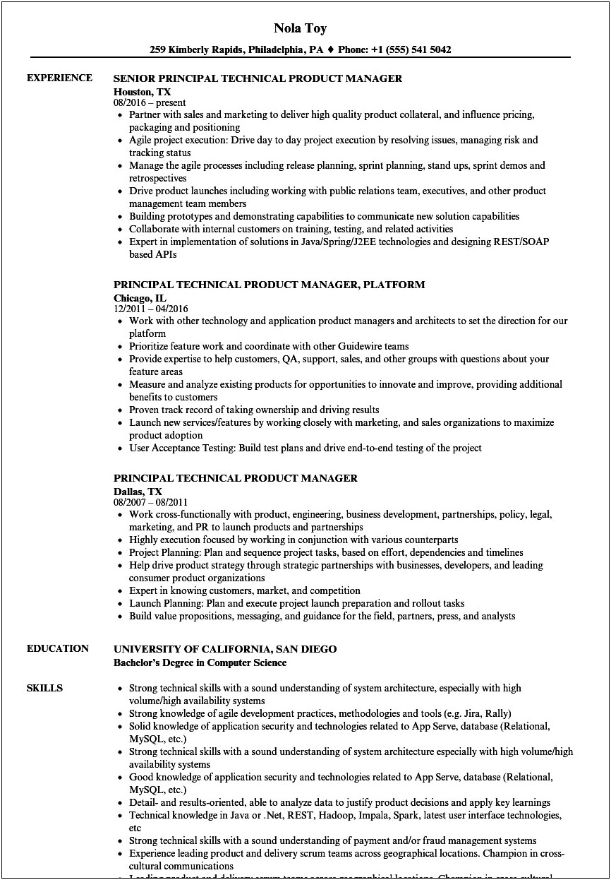 Great Technical Product Manager Resume