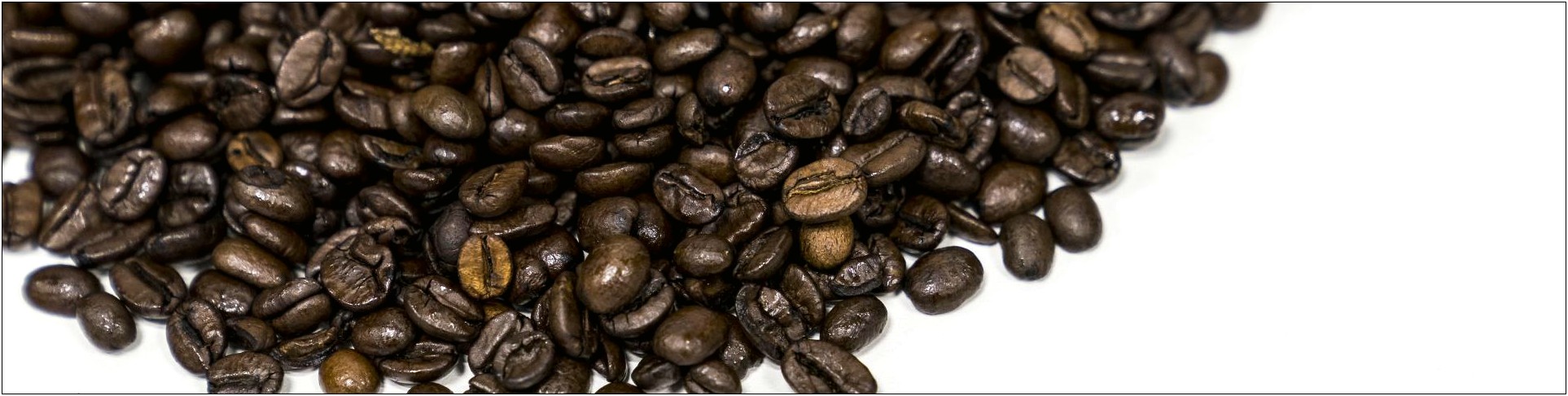 Green Coffee Sales Sample Resume