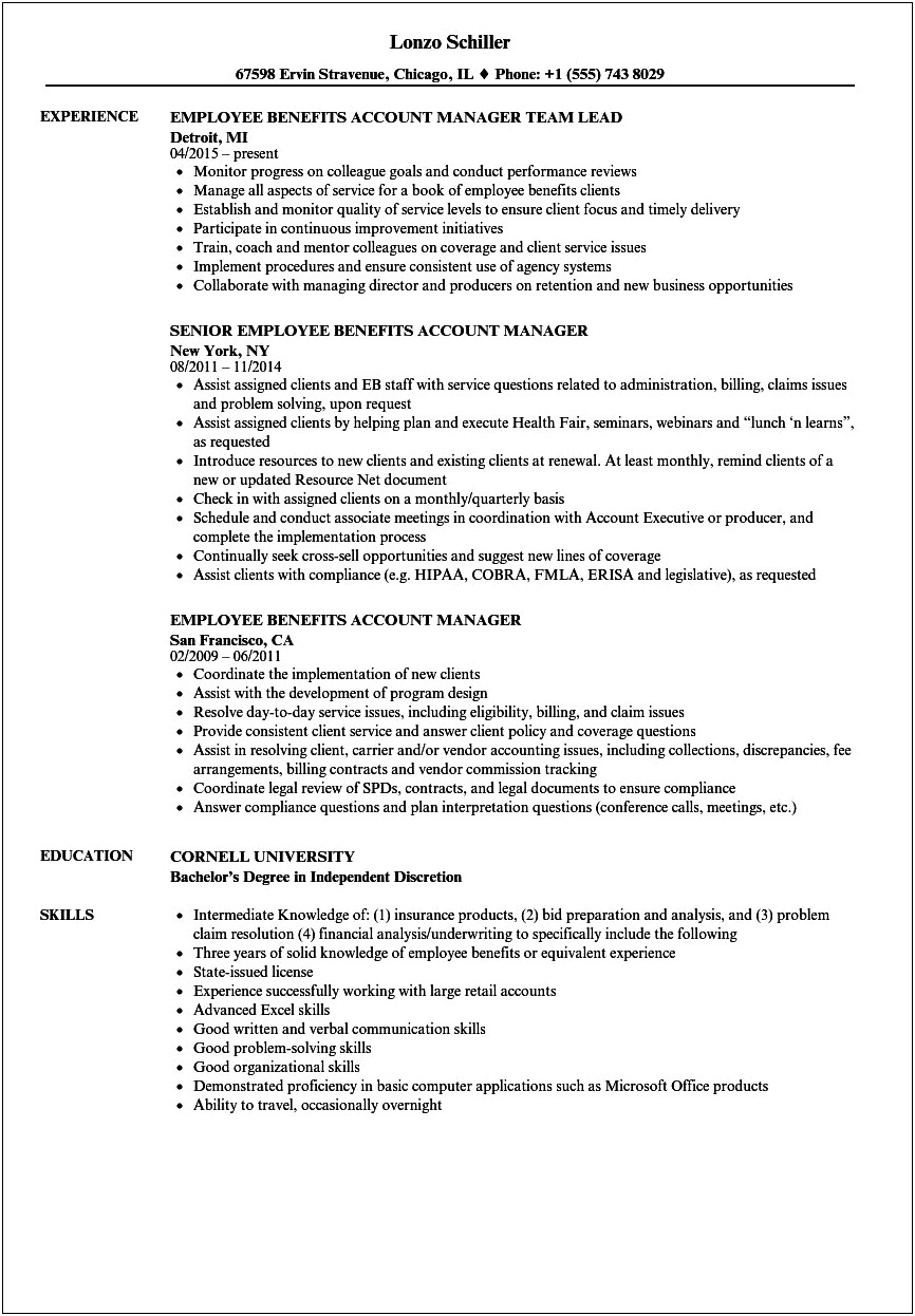Health Insurance Account Manager Resume