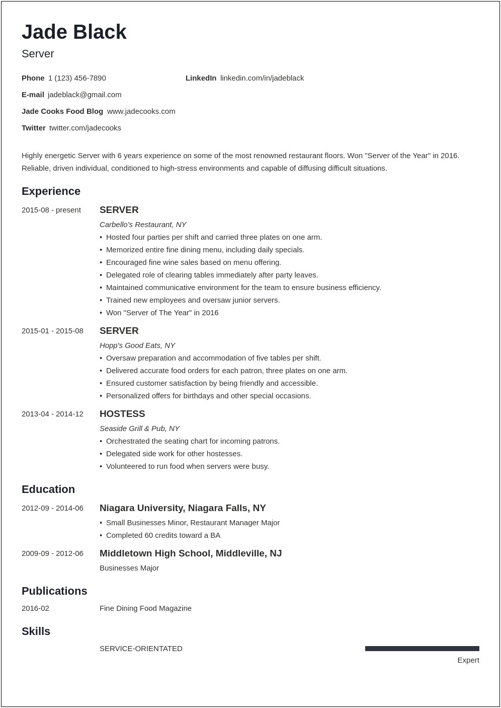 High End Server Resume Examples
