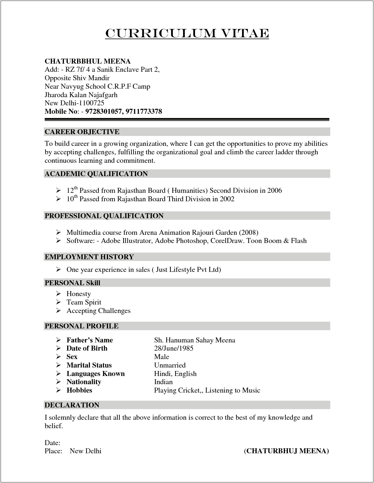 Hobbies And Interest Resume For High School Students