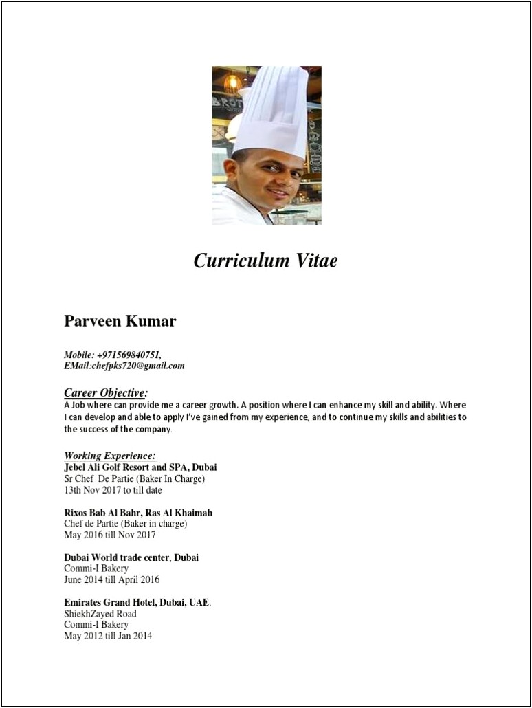 Hospitality Cook Job Objective For Resume