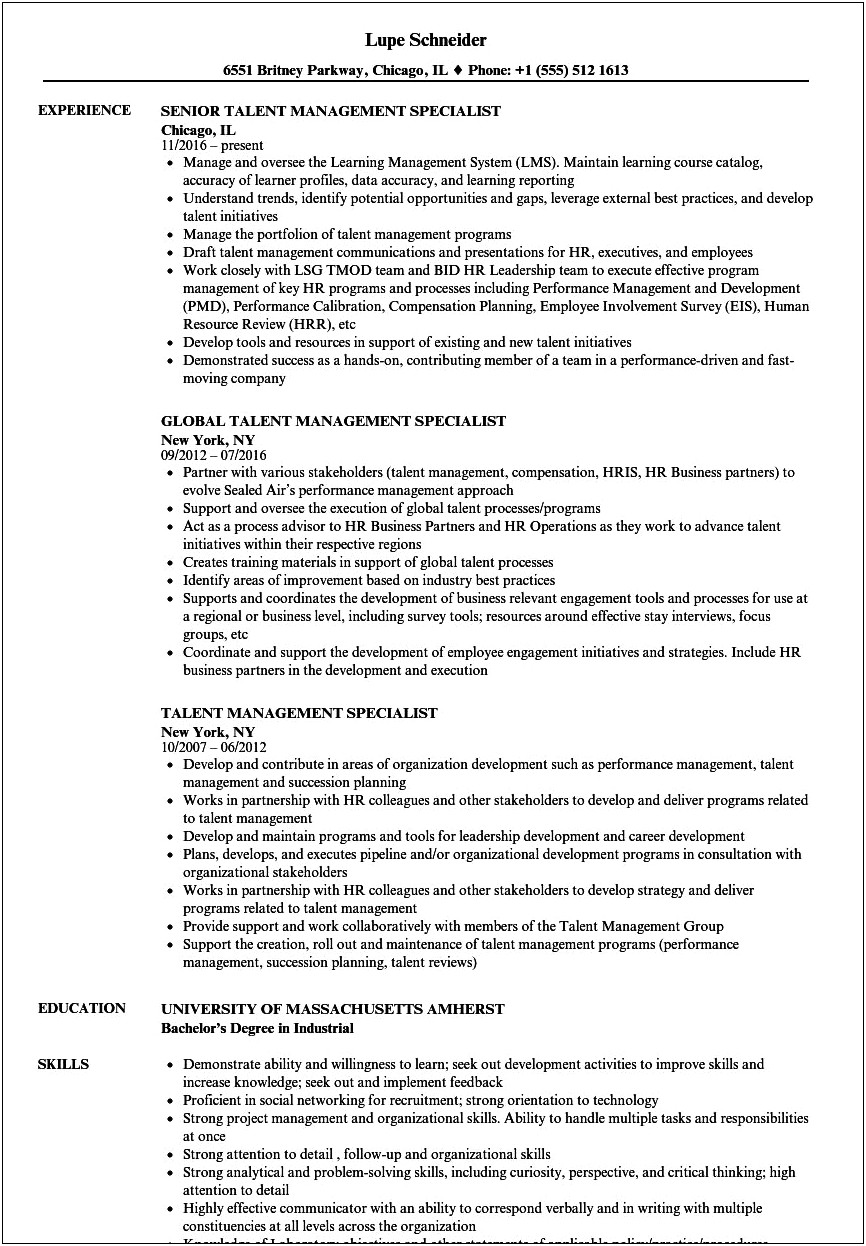Hr Manager Resume Talent Review
