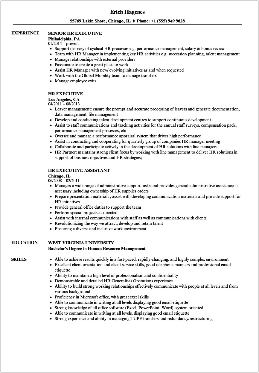 Human Resources Executive Resume Examples