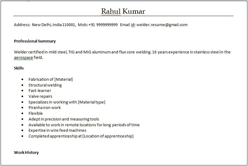 Indian Resume Format In Word File Free Download