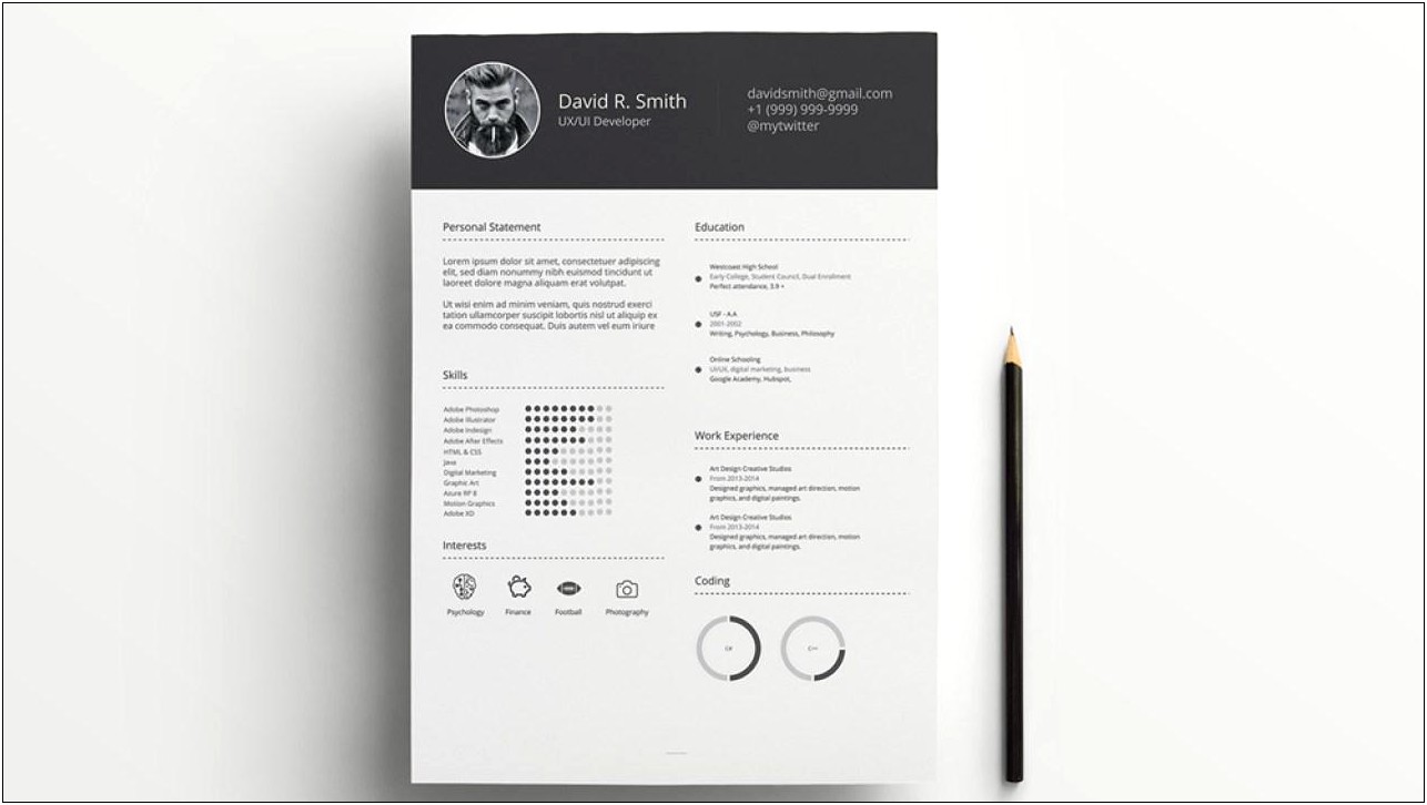 Infographic Resume Format Free Download