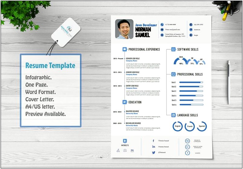 Infographic Resume Template Docx Free Download