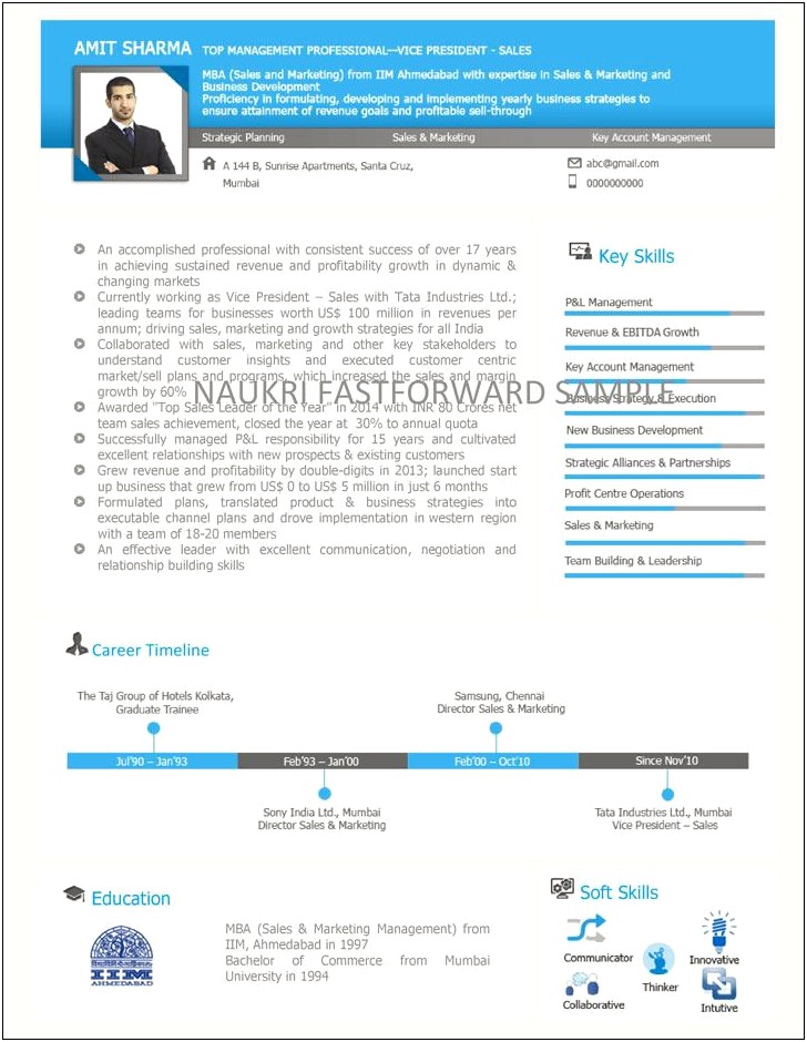 Infographic Resume Template For Vice President