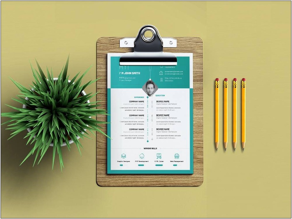 Infographic Resume Template Free Psd