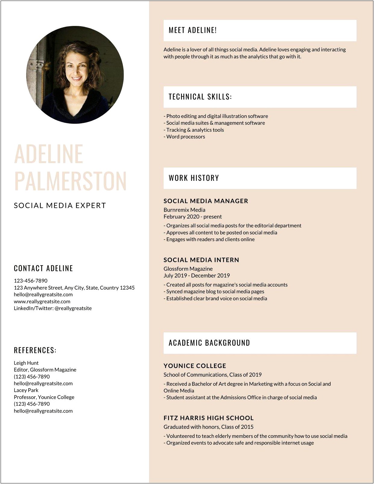 Infographic Resume Template Microsoft Word Free