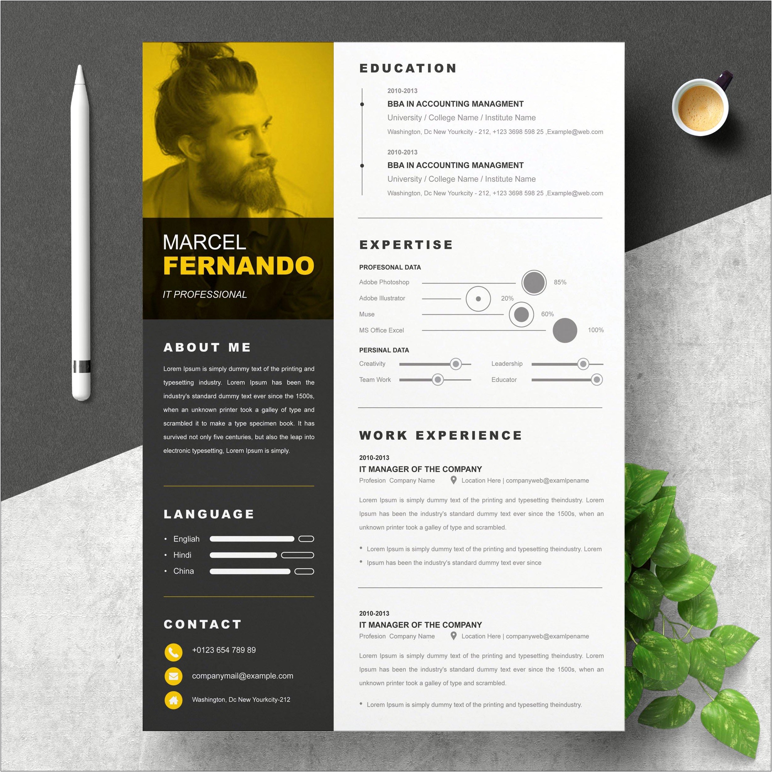 Infographic Resume Template Word Free Download