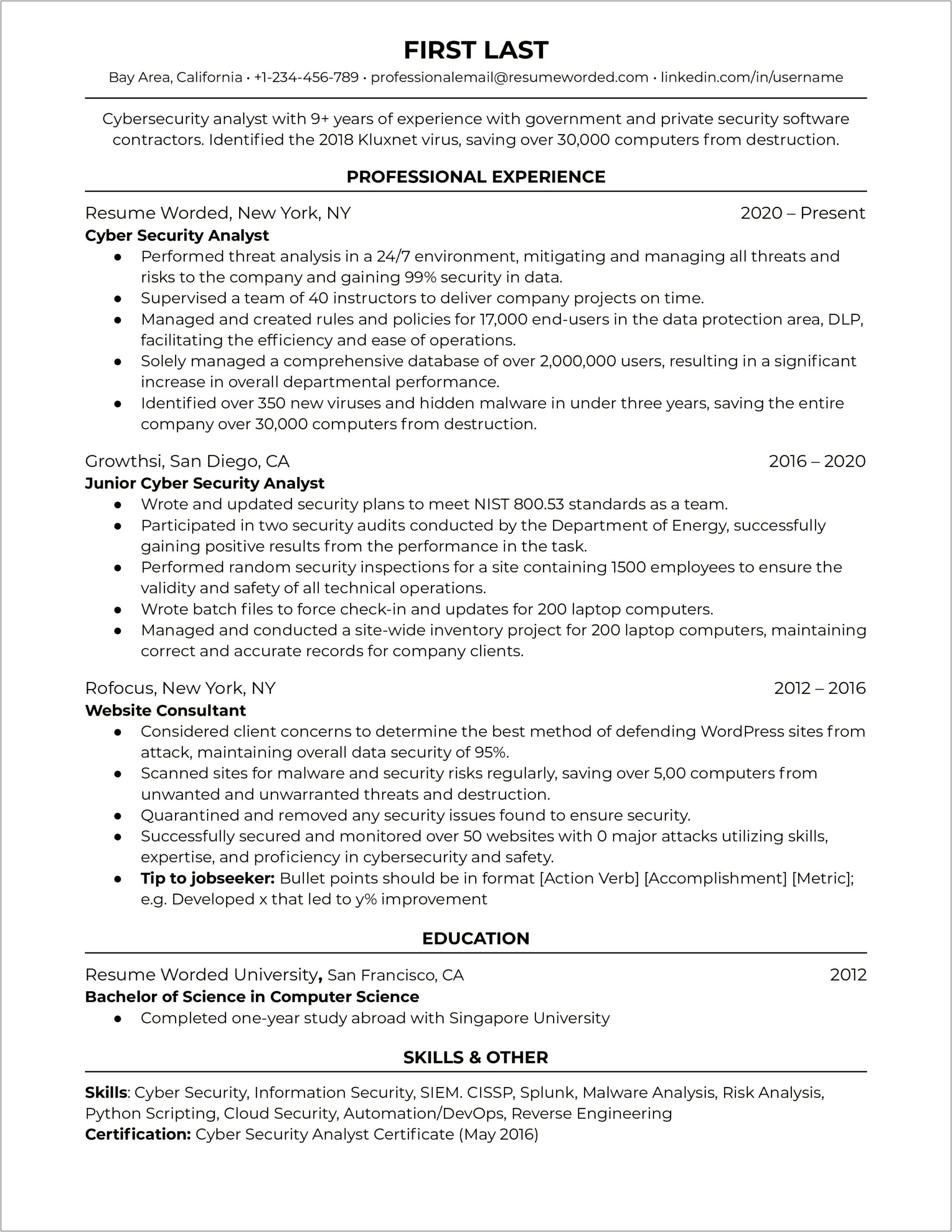 Information Security Director Resume Examples