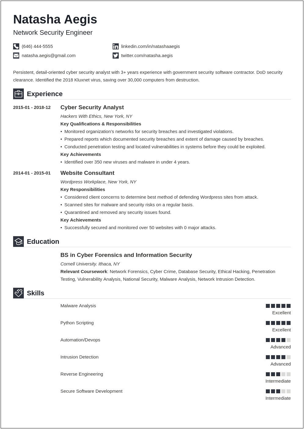 Information Security Manager Resume Example