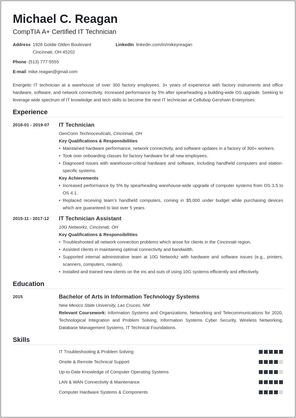 Information Technology Career Summary Resume Example