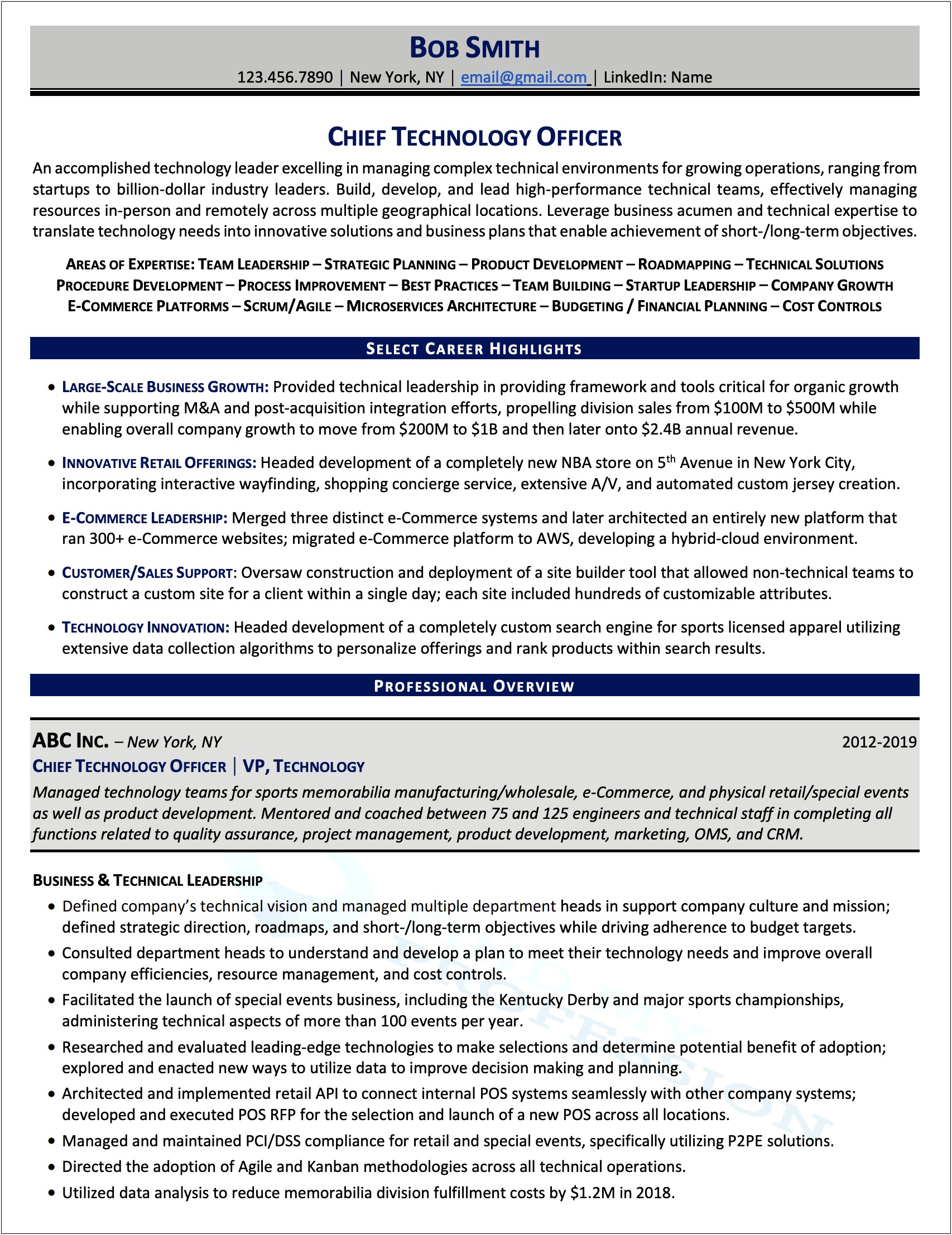 Information Technology Executive Resume Example