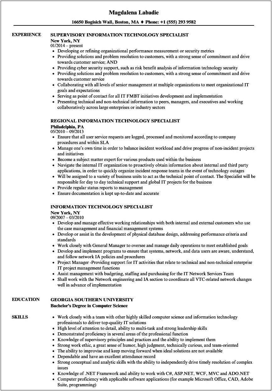 Information Technology Functional Resume Example