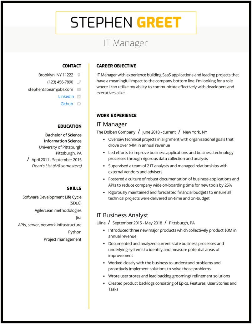 Information Technology Manager Resume Example